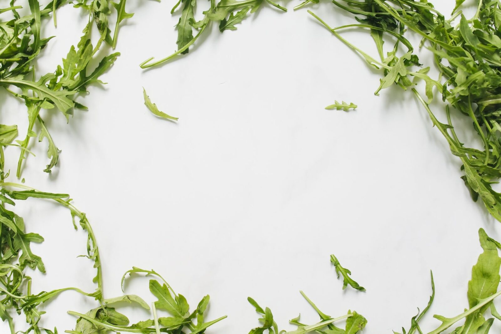 Rezeptideen zum Abnehmen: morgens, mittags, abends