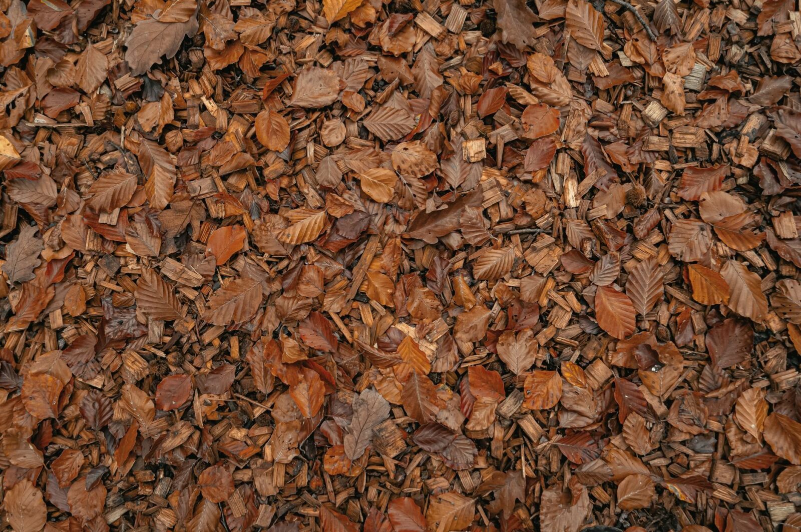 Naturnah mulchen: So bleibt der Gartenboden geschützt